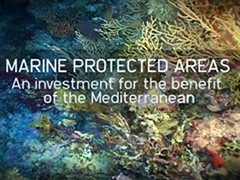 MARINE PROTECTED AREAS IN THE MEDITERRANEAN